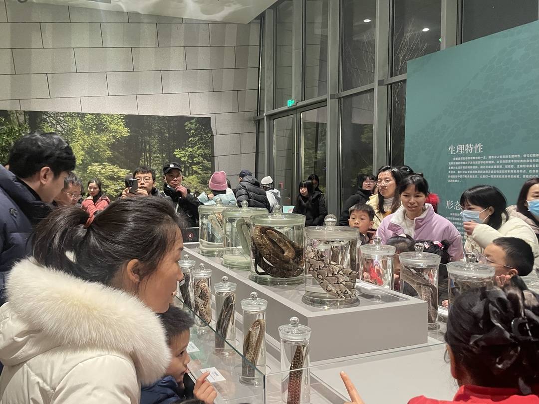 觀眾參觀《蛻舊迎新 蛇展》新展