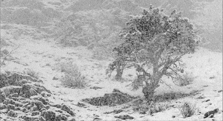 火焰山竟然下雪了!北京四区已出现降雪,河南局地暴雪,连昆明、广东也可能下雪!多地高速封闭、新疆多趟列车停运