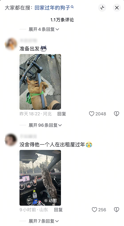 【本文结束】如需转载请务必注明出处:快科技责任编辑:秋白文章内容举报