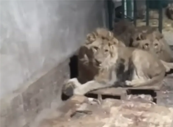 【本文结束】如需转载请务必注明出处:快科技责任编辑:落木文章内容举报