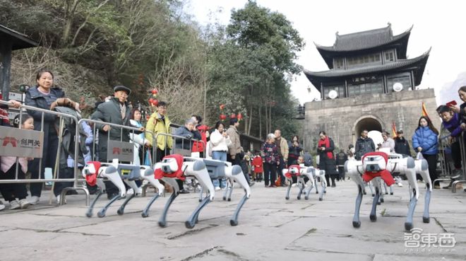 ▲剑门关景区机器狗表演（图源：剑阁发布）
