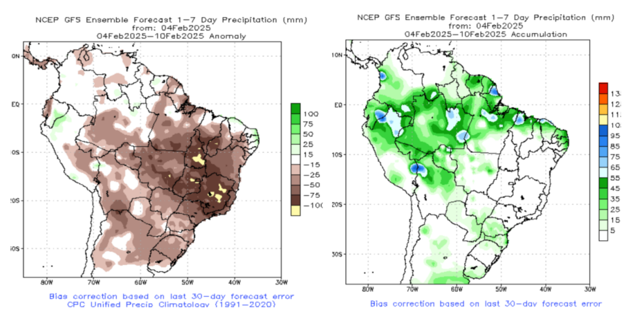 数据来源:NOAA,紫金天风期货研究所