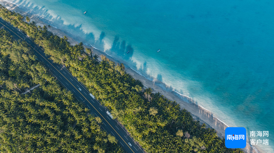 春节旅游·观察 | 海南“两环”旅游公路缘何成春节“顶流”?|海南省|房车_新浪新闻