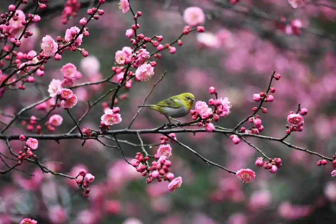 图源:贵阳网