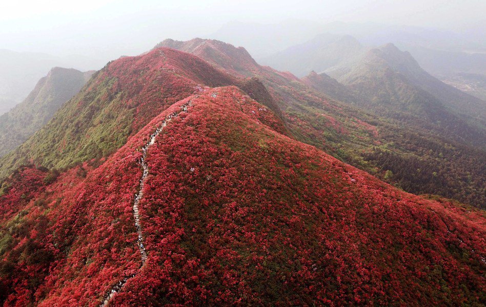 图源:黔东南州文体广电旅游局