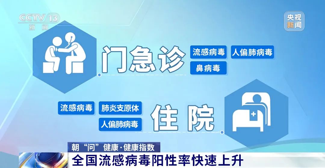 (图源:网络)