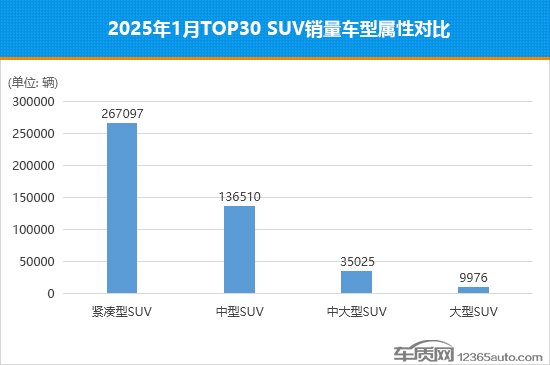 2025年1月TOP30 SUV销量投诉量对应点评
