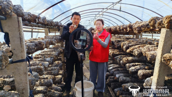 (在襄阳鹿头镇董河村,种植户张亚红和中国移动志愿者正向网友展示优质香菇)