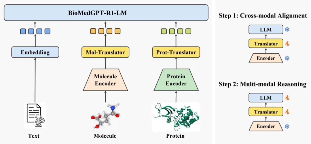 BioMedGPT-R1 模型框架和主要训练步骤