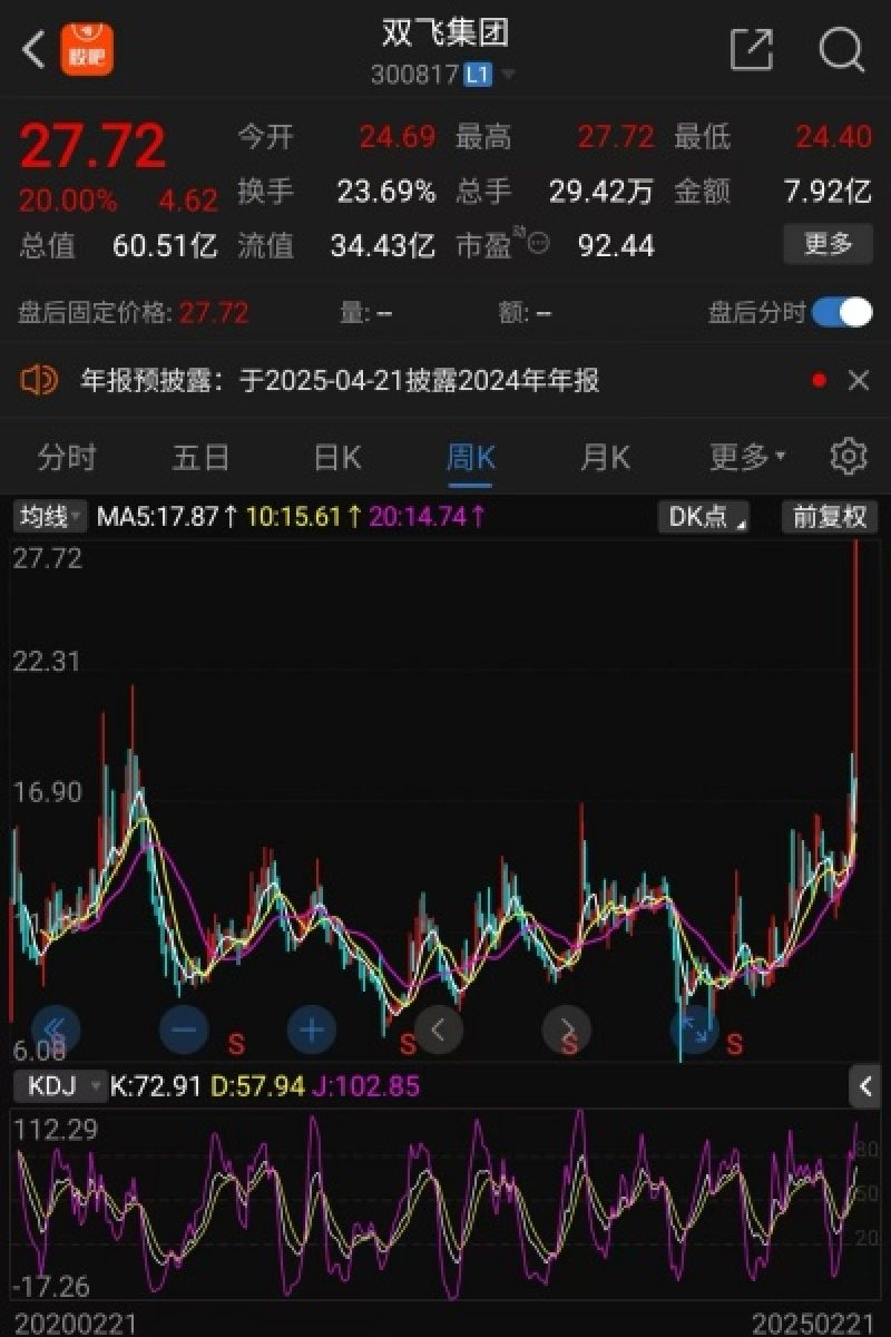 双飞集团上市以来周K线