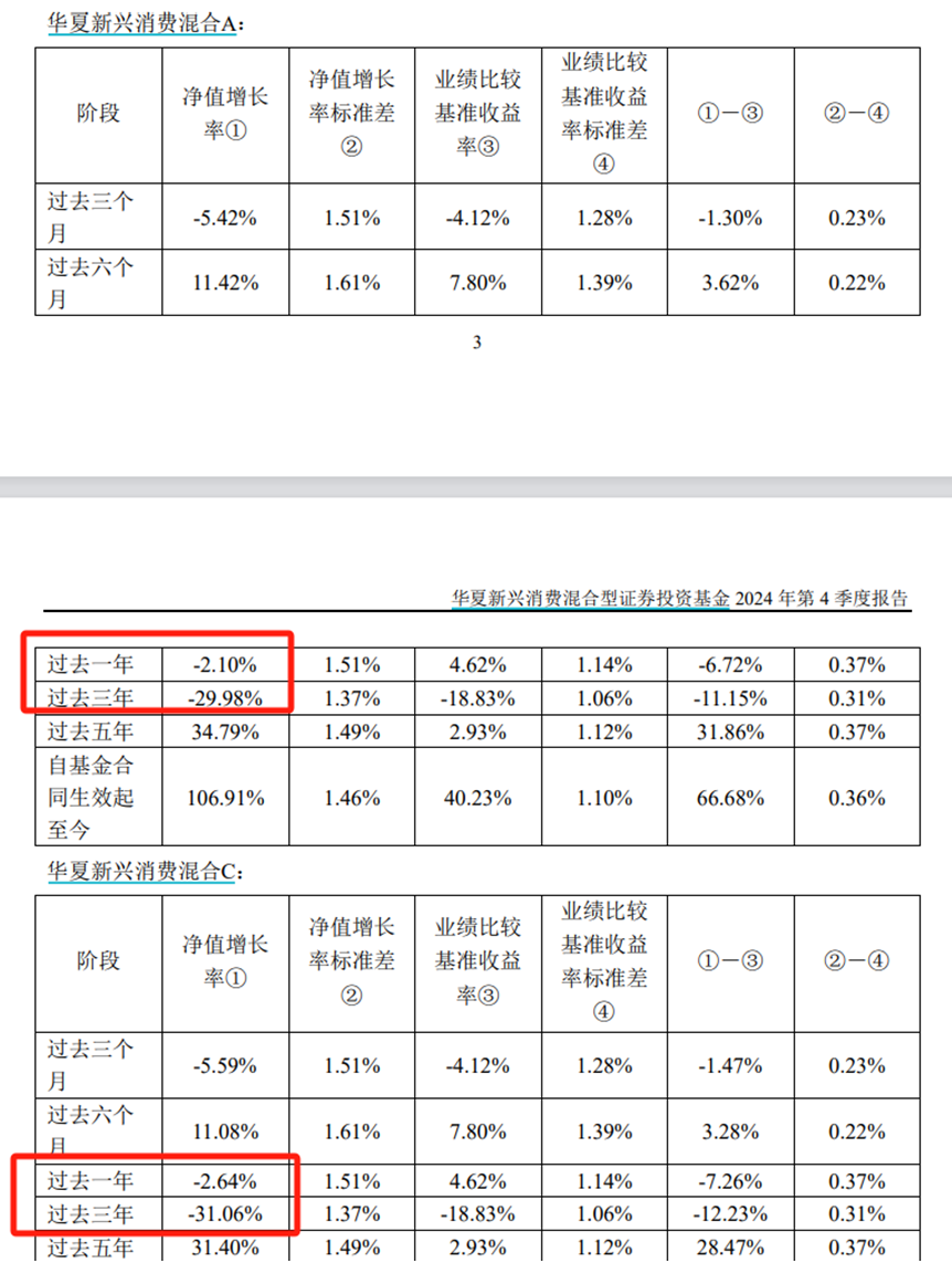 圖源:華夏新興消費混合基金2024年第4季度報告
