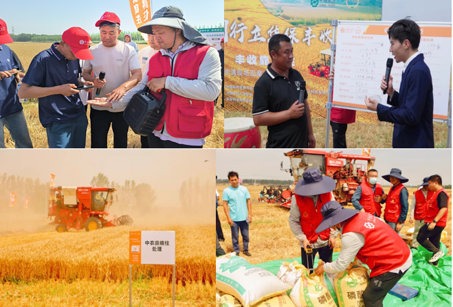 小麦实收实测观摩会