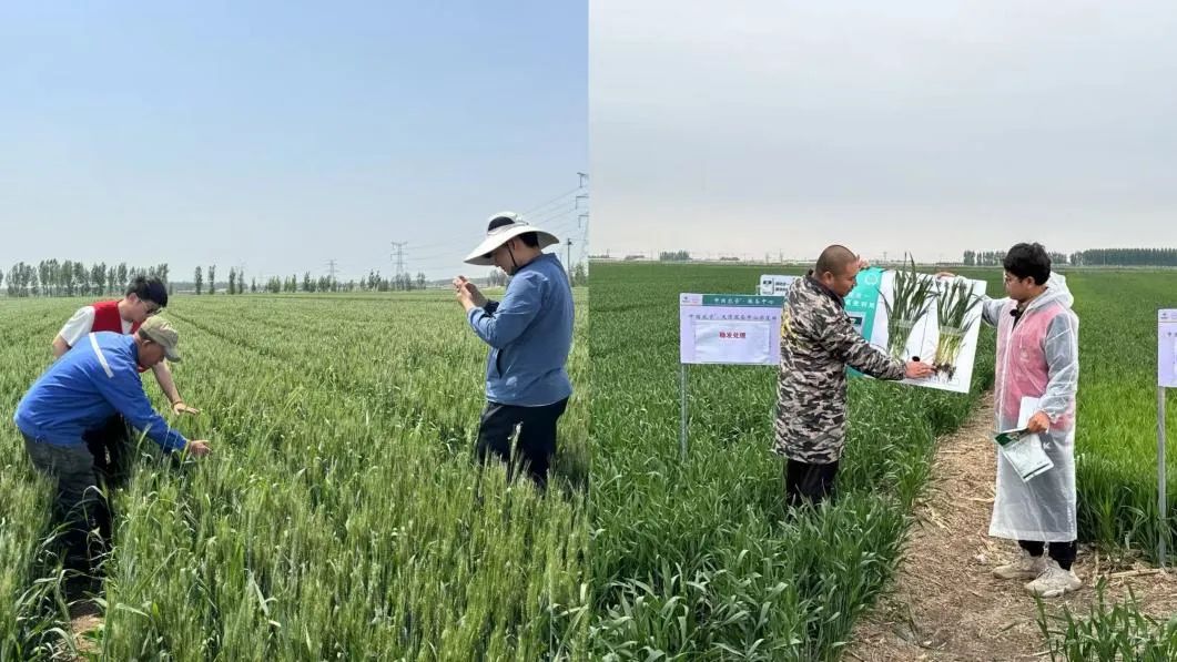 短视频拍摄与观摩会直播现场