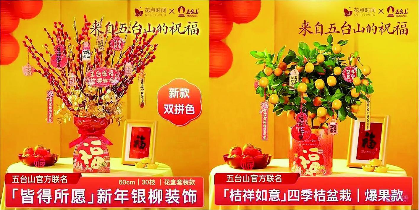 绿植玄学 图片来源:花点时间