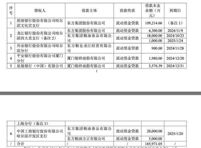 (图片来源:东方集团公告)