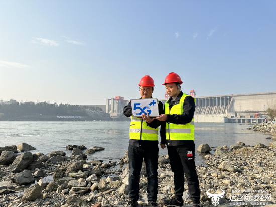 (移动技术人员优化测试丹江口水库通信网络)