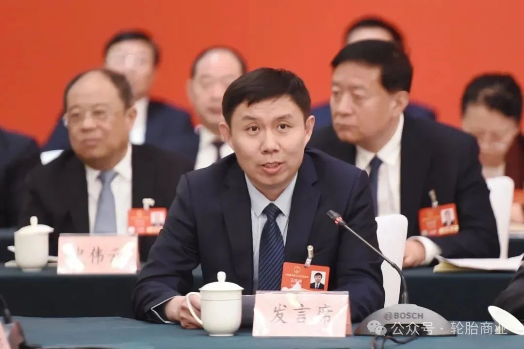 (全國人大代表、豪邁集團董事長王欽峰)