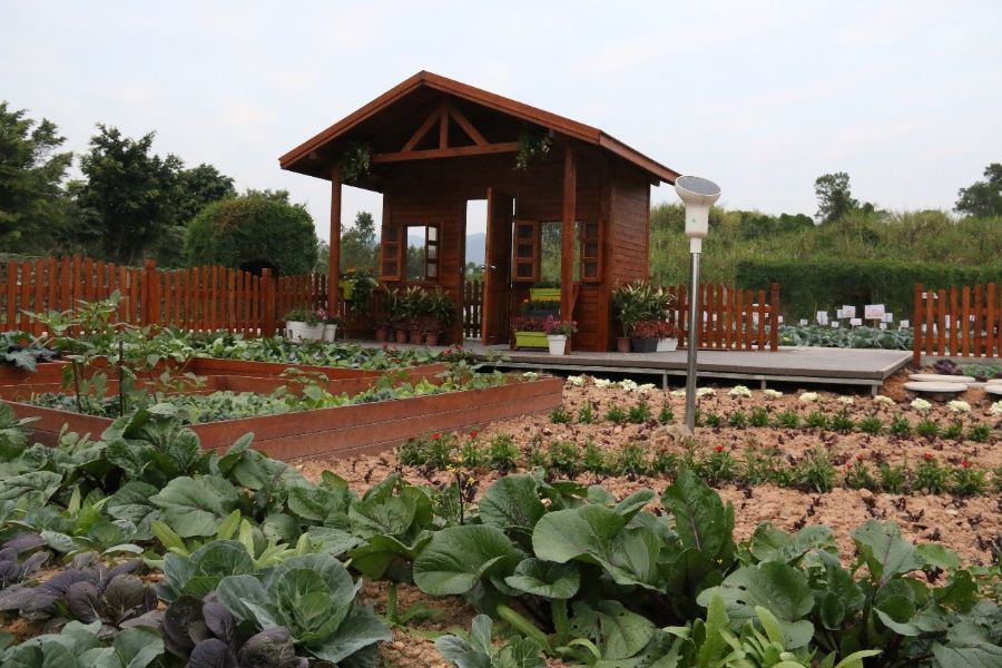 (智慧种植管理智能装备,监测土壤墒情、气象条件、作物苗情及病虫害情况。受访者供图)