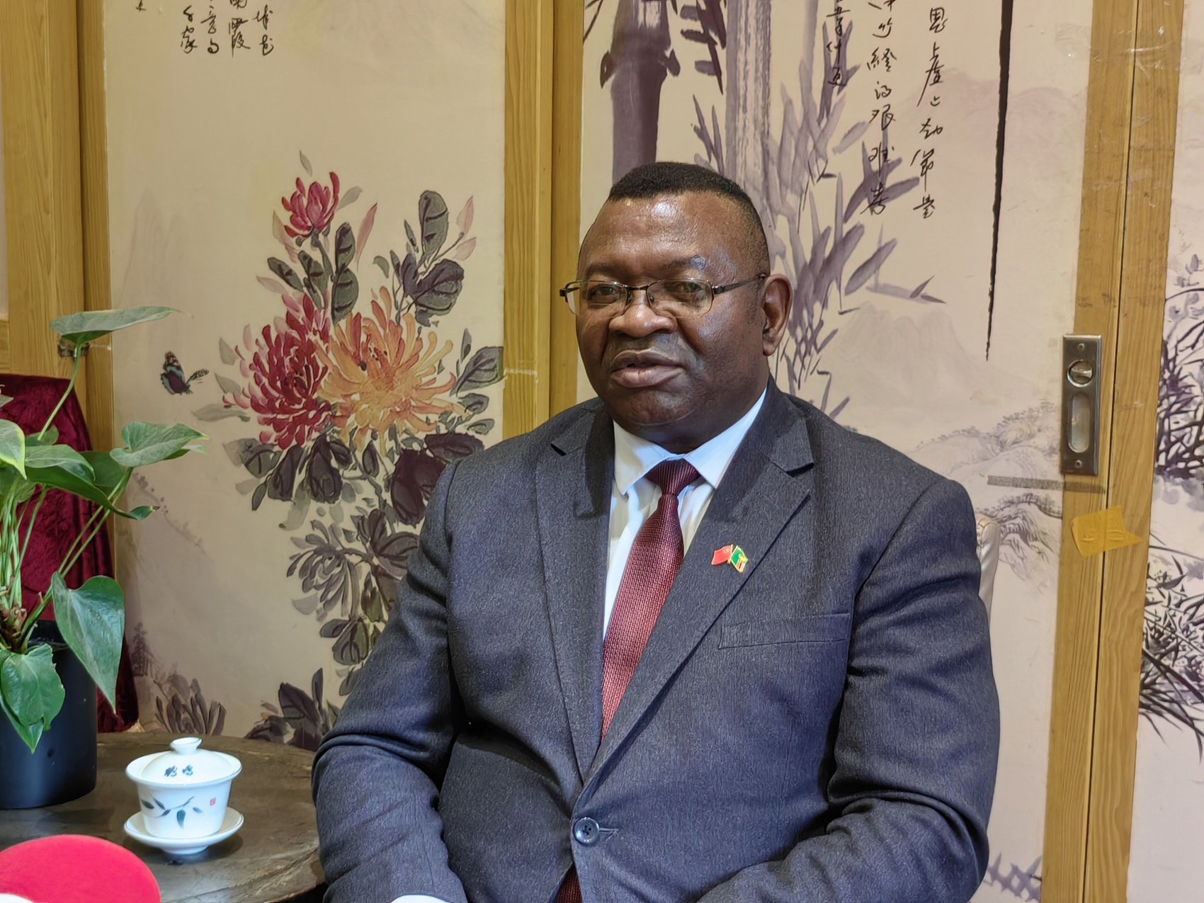 赞比亚共和国驻中国大使齐乌卢