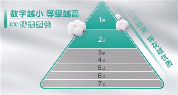 图源:新华网