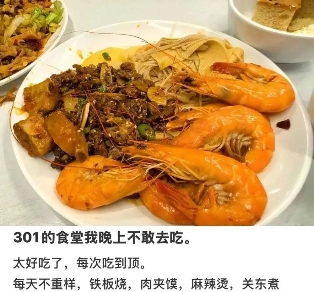 圖源:Catherine Zhang