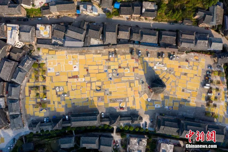 貴州從江小黃侗寨「曬秋」。吳德軍 攝