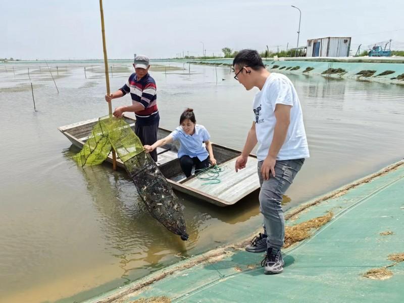 中国人寿财险山东省东营市垦利支公司员工深入大闸蟹养殖现场,了解大闸蟹生长规律和保障需求情况