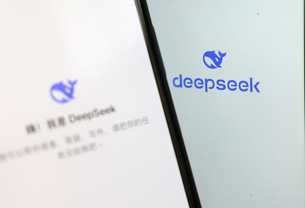 DeepSeek移动端页面 图源:视觉中国