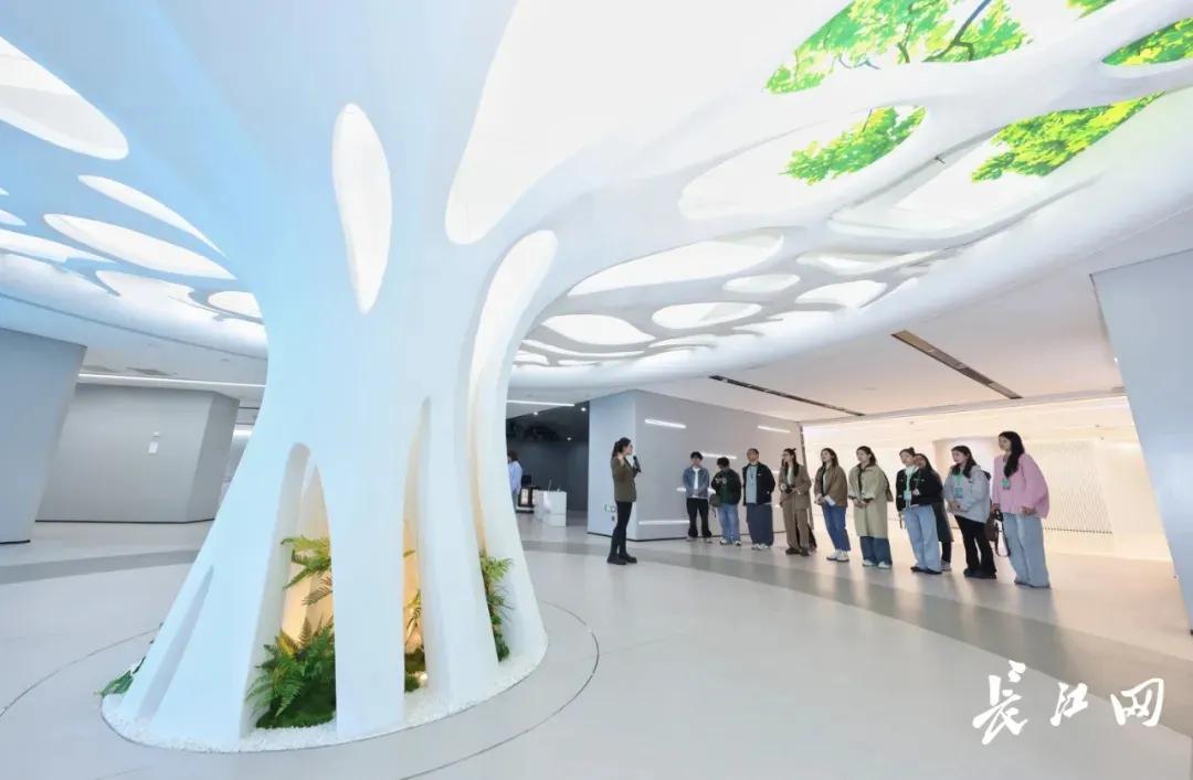 　　在武汉产业创新发展研究院“科创之树”下，11名大学生心中有关科创和梦想的种子正在萌芽。王筝 摄