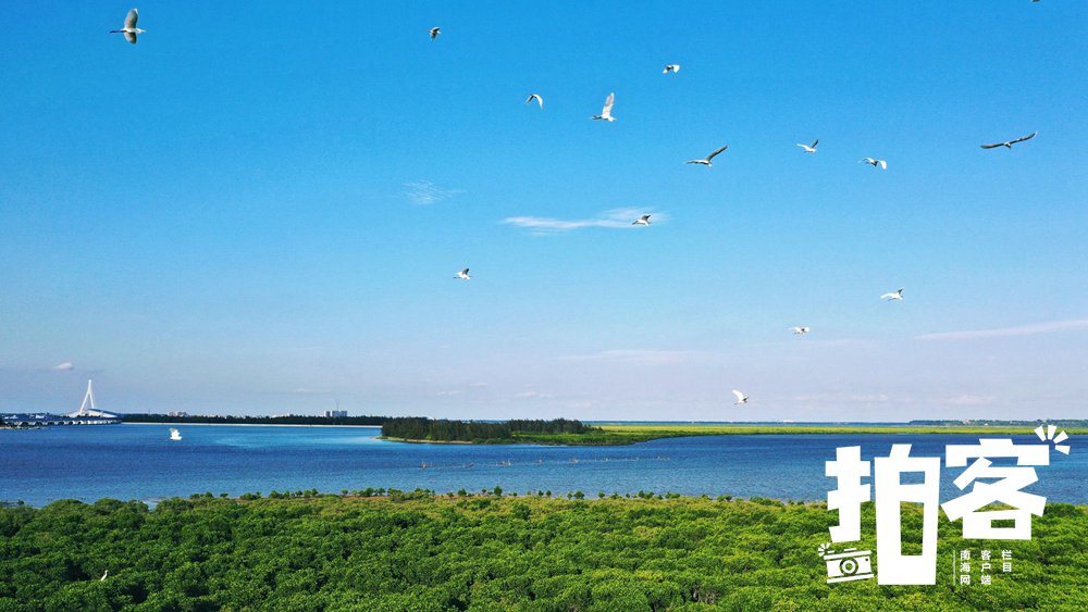 南海网客户端拍客专栏摄影师 王聘钊 摄