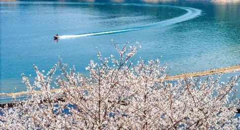 图10：2025年3月26日，杭州，淳安县千岛湖镇珍珠广场，