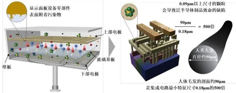 资料来源：公司招股说明书，山西证券研究所