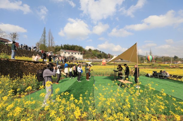 (金山村油菜花)
