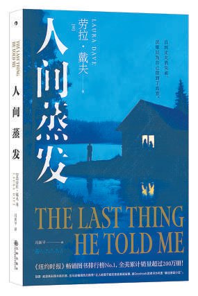 迷雾中的爱与救赎