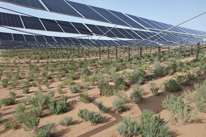 这是2024年7月9日拍摄的武威市凉州区20万千瓦立体光伏治沙产业化示范项目(无人机照片)。新华社记者 范培珅 摄