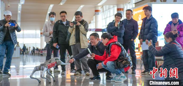 圖為在林芝,國家安全宣傳機器狗與群眾互動。靜瀾 攝