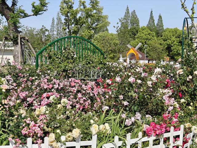 上海植物园新优特色植物展区。 谢臻阳摄