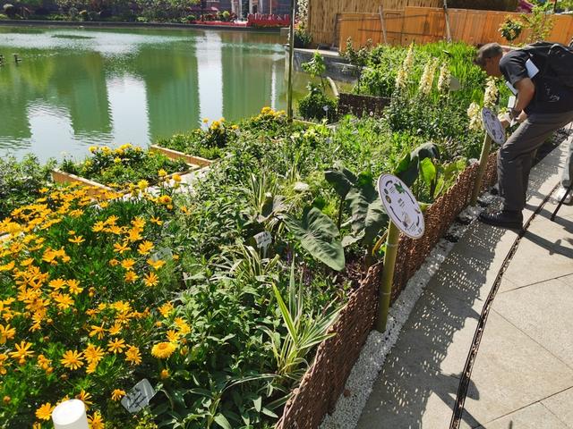 “感知城市”花园。 陈玺撼摄