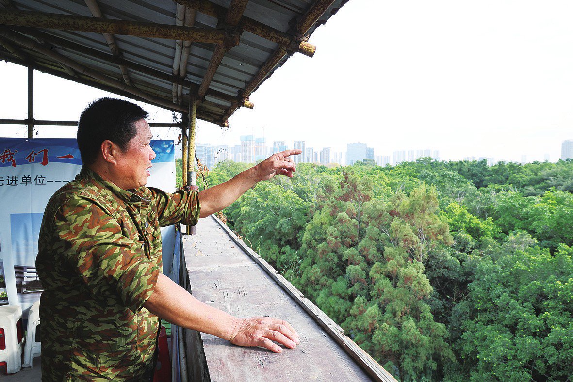 顺德“鸟叔”廿七载守护“鹭鸟天堂”
