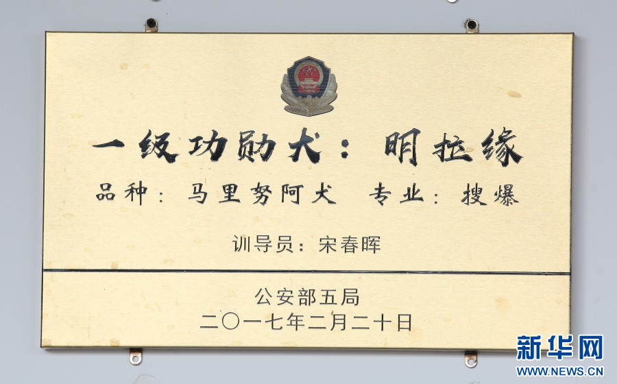 一级功勋犬明拉缘(资料图)。新华网发(保山市公安局供图)