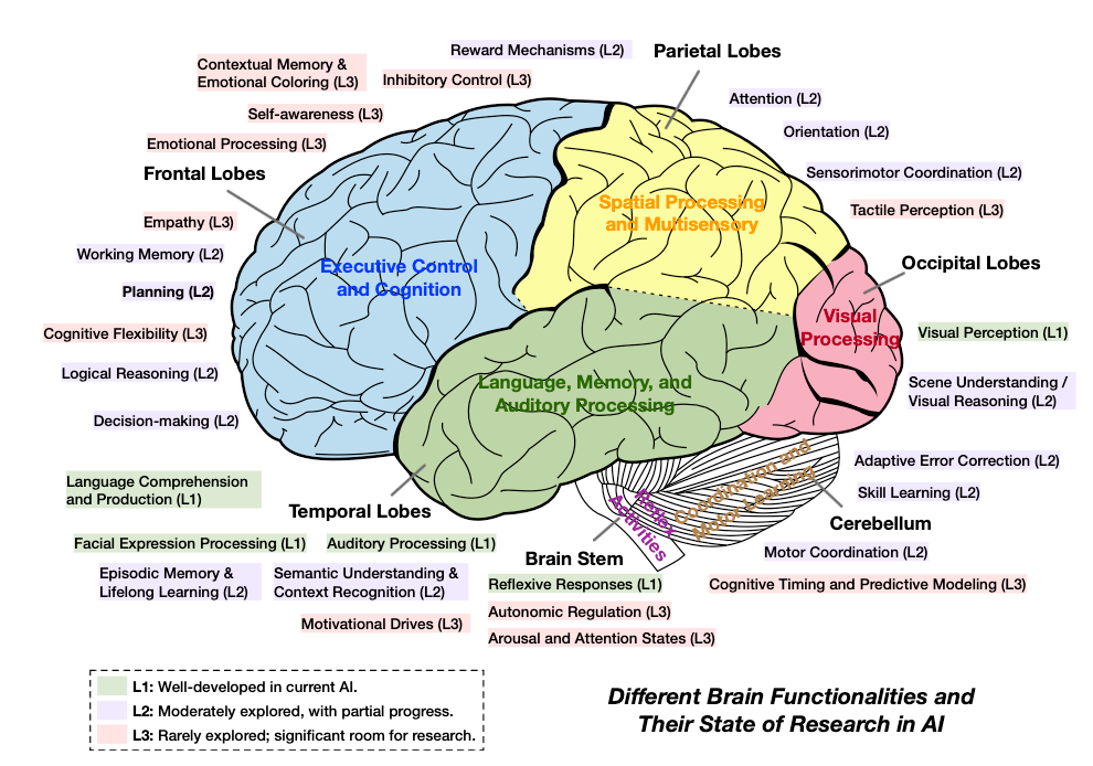 當前 AI 研究與人類大腦的差異