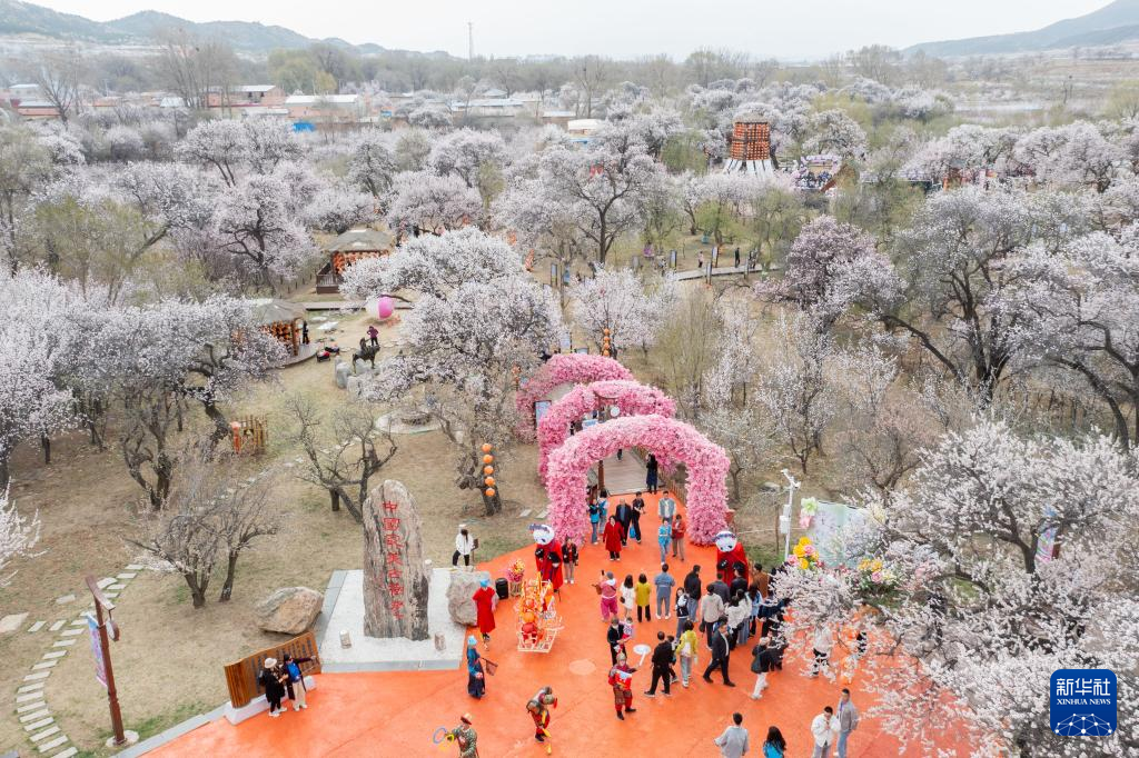 4月20日,遊人在東烏素圖村的杏花穀景區遊玩(無人機照片)。新華社記者 馬金瑞 攝