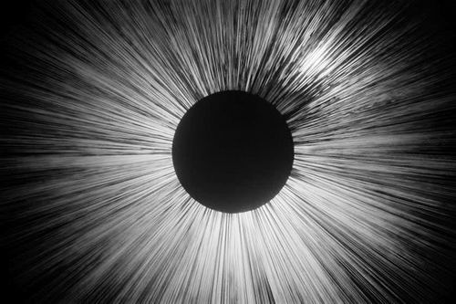 图片来源:MikeCS images/Alamy