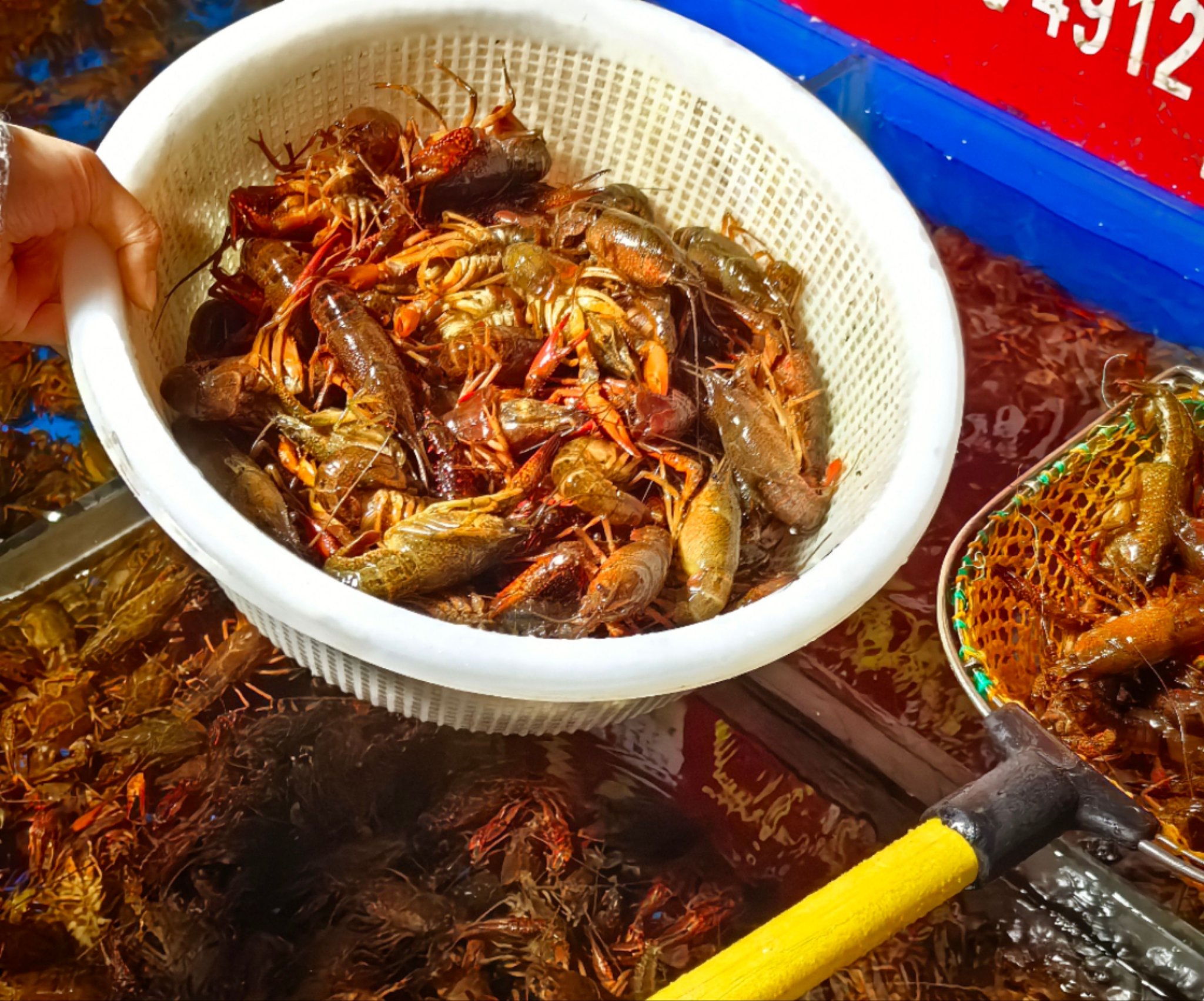 图源:时代周报/摄