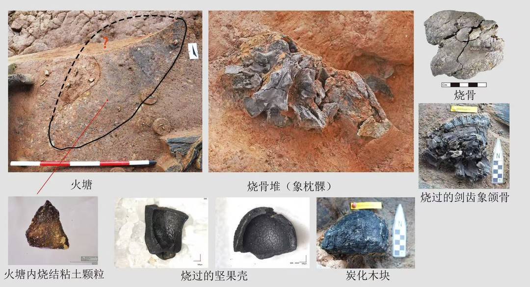 系統性用火