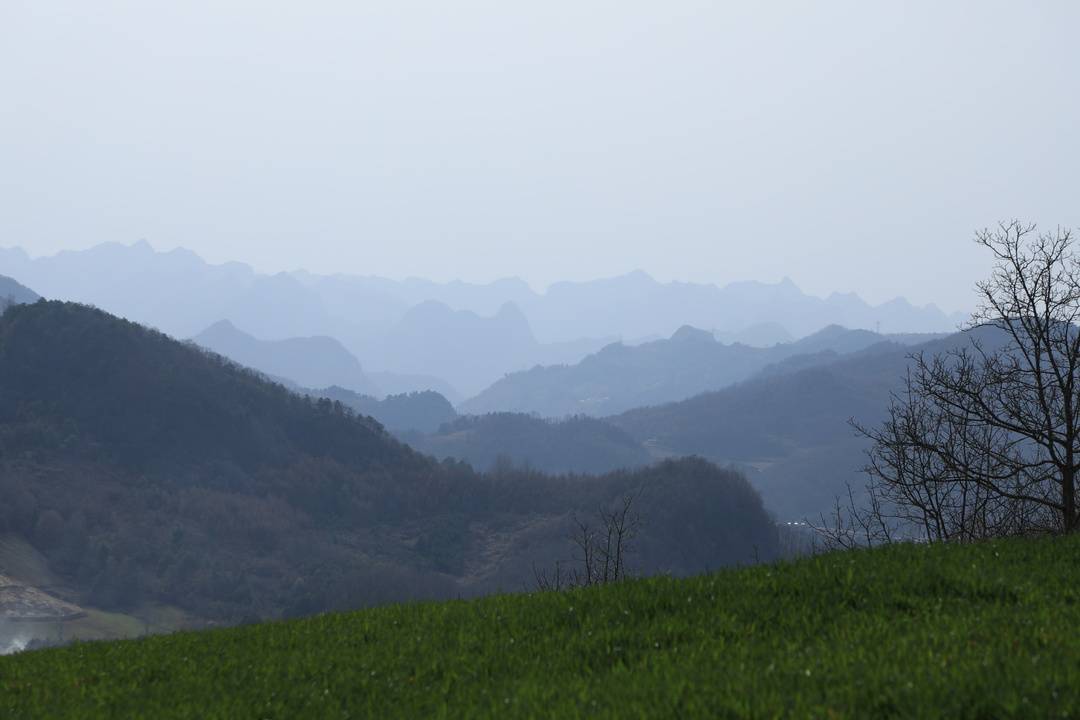 青泥嶺(陝西省考古研究院供圖)