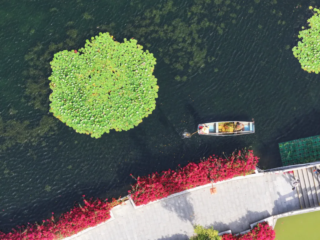 来源:惠州西湖景区