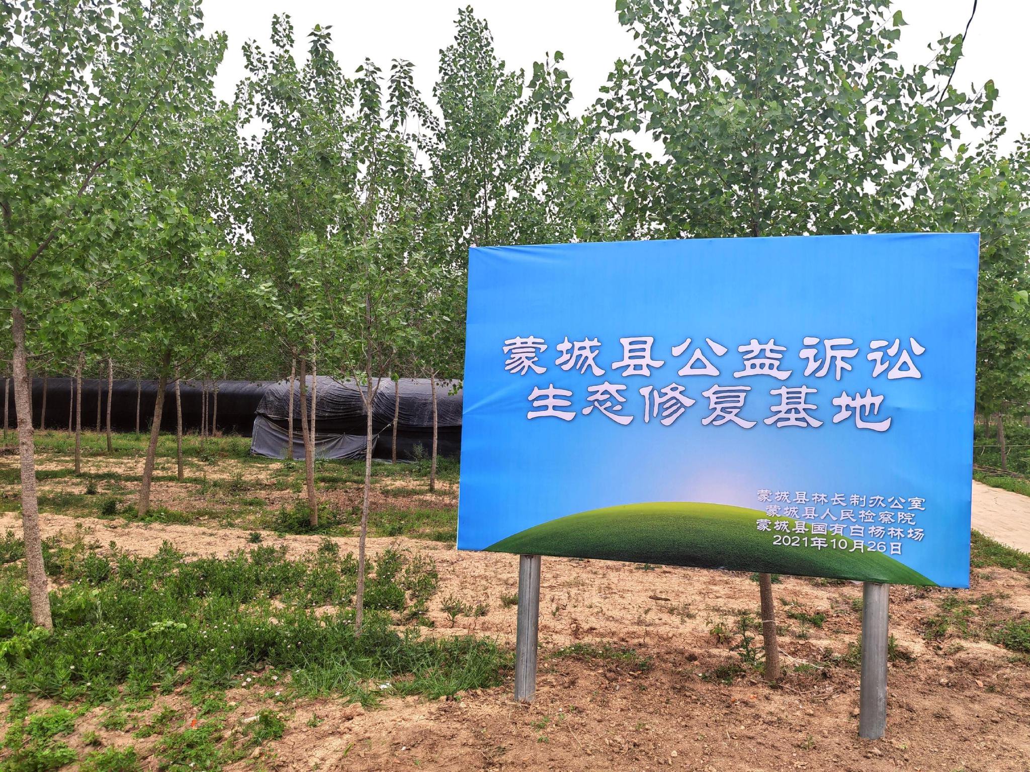 蒙城縣公益訴訟生態修復基地標識牌。人民網記者 王子鋒攝