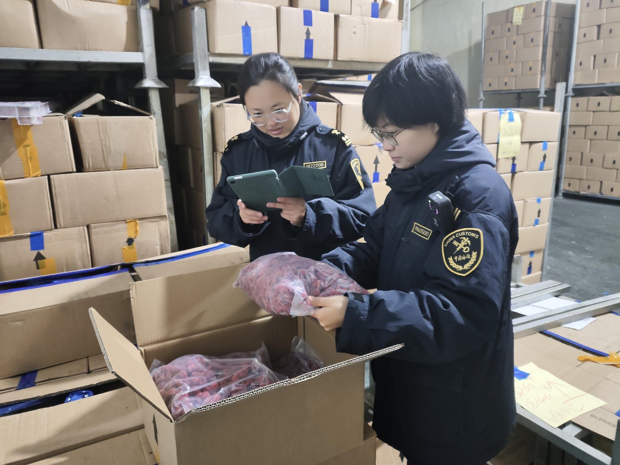 冰城海關關員查檢出口速凍漿果