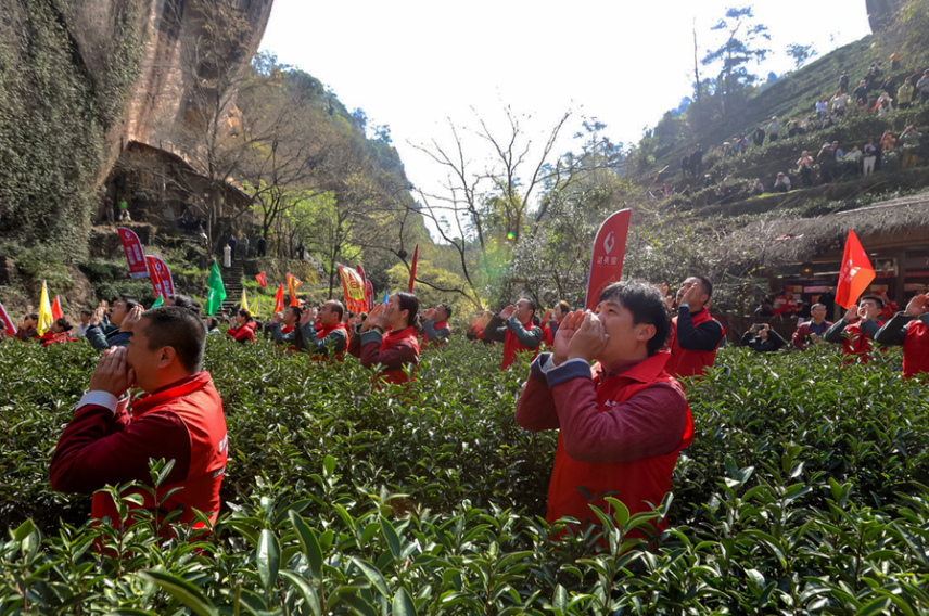 每年春天,武夷山各地都會舉行「喊山祭茶」活動。武夷山市融媒體中心供圖